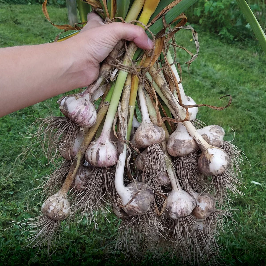 Fall Isn't Just for Harvesting...