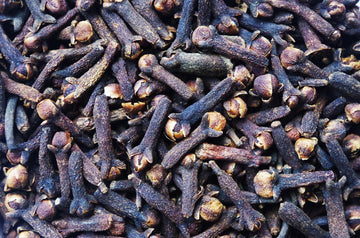 Essential Oil of the Month: Clove