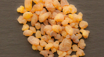 Essential Oil of the Month: Frankincense